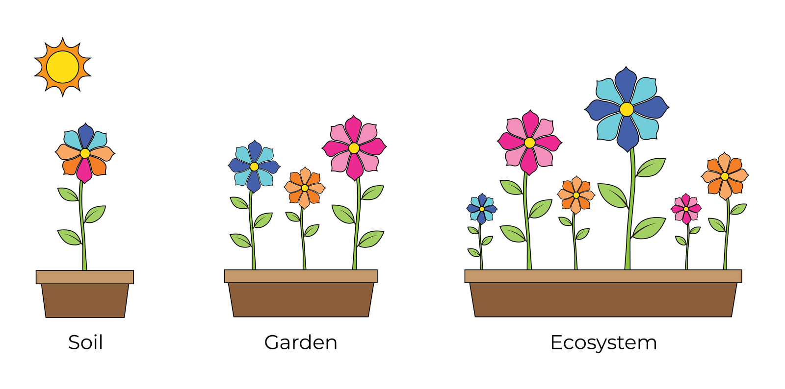 Soil, Garden, and Ecosystem — three tiers of the Joyroot Journey