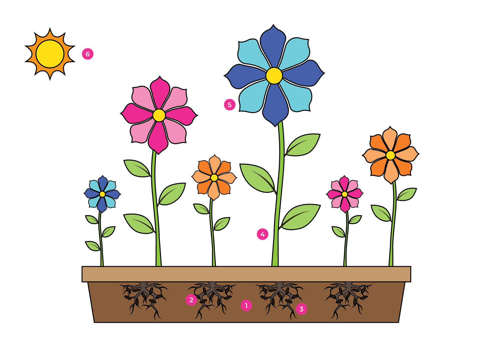 Ecosystem framework with 6 numbered stages