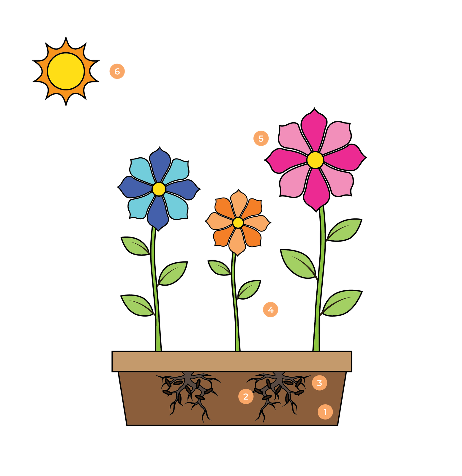 Garden framework with 6 numbered stages