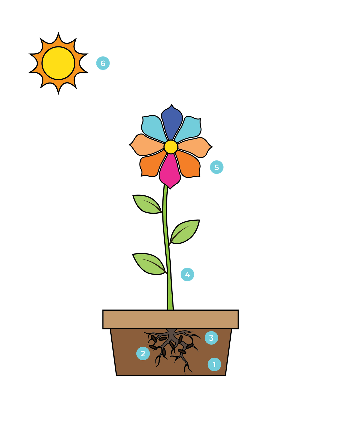Soil framework with 6 numbered stages